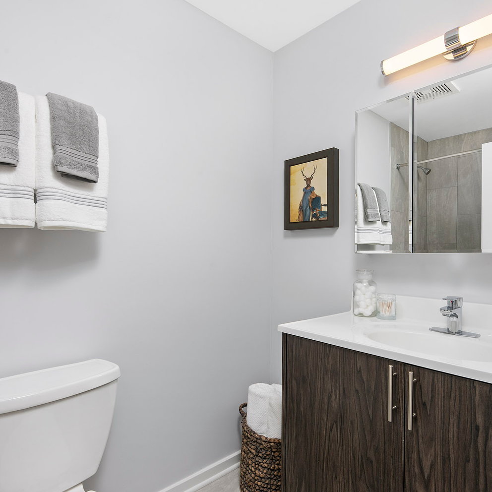 Century Tower Chicago renovation9